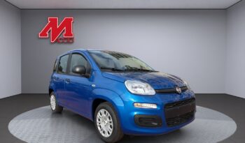 Fiat PANDA 1.0 Hybrid 70cv pieno