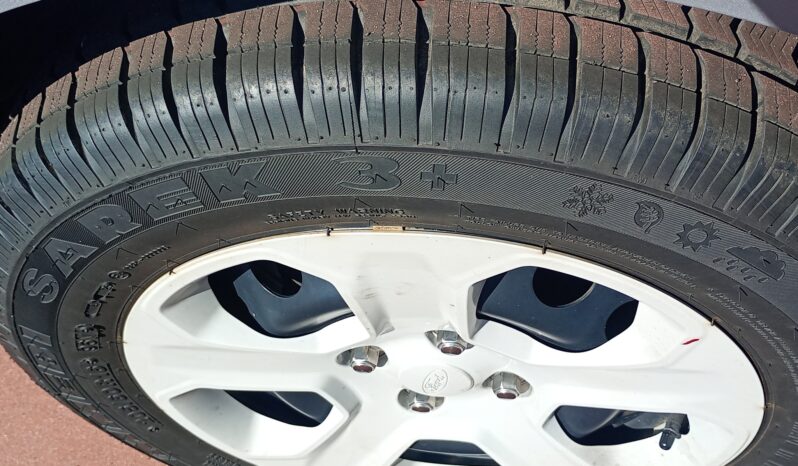 EcoSport 2019 1.5 ecoblue Plus s pieno